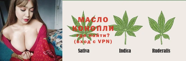 амф Алексин