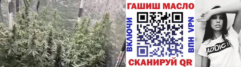 Дистиллят ТГК жижа  сколько стоит  Елизаветинская 