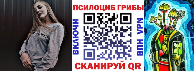 Псилоцибиновые грибы MAGIC MUSHROOMS  продажа наркотиков  Елизаветинская 